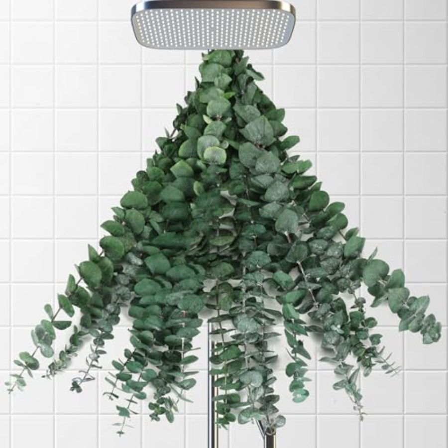 Home Fragrance Eucalyptus - 乾燥したユーカリの茎、シャワー用、17インチの天然本物のユーカリの葉の枝、吊り下げ式シャワー用植物、スパ、家庭用芳香剤