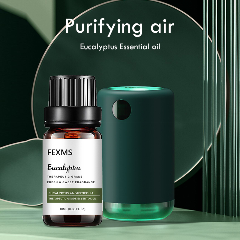 Home Fragrance Eucalyptus - Eucalyptusエッセンシャルオイル (100% ピュア & ナチュラル-原液) 治療グレード-アロマテラピーに最適10ml