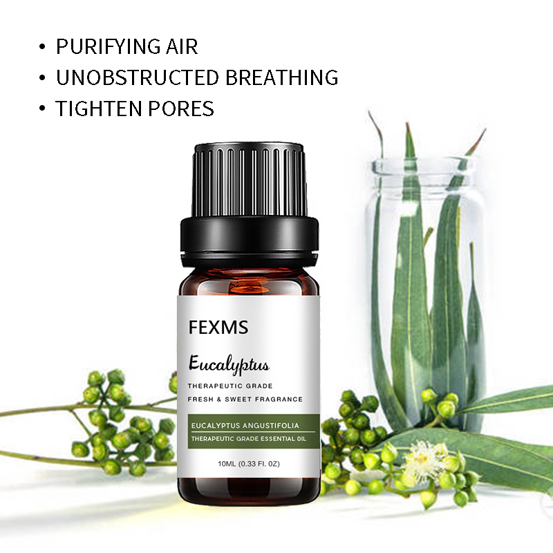 Eucalyptusエッセンシャルオイル (100% ピュア - Home Fragrance Eucalyptus のレビューと価格