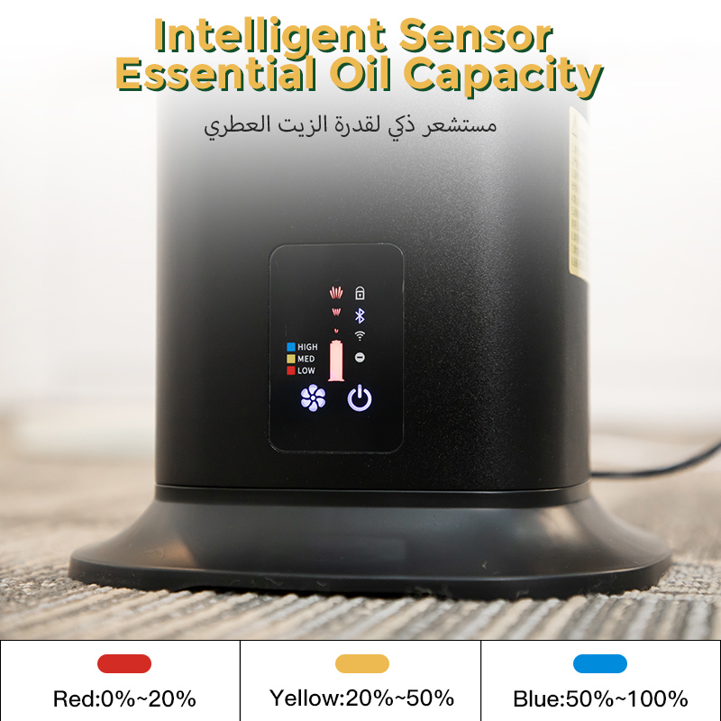 シナモン-家庭用空気リフレッシュ剤エッセンシャルオイル、フレ - Home Fragrance Vaporizer のレビューと価格